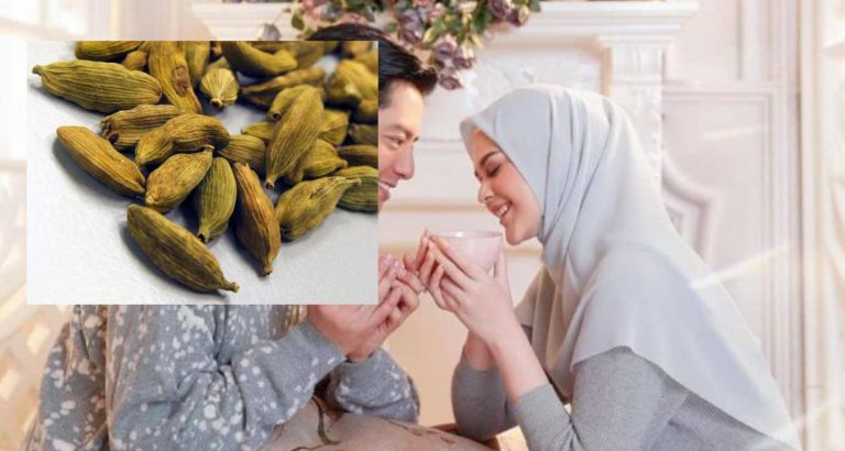 Cara Hilangkan Rasa Mual Atau Loya Buat Ibu-Ibu Muda