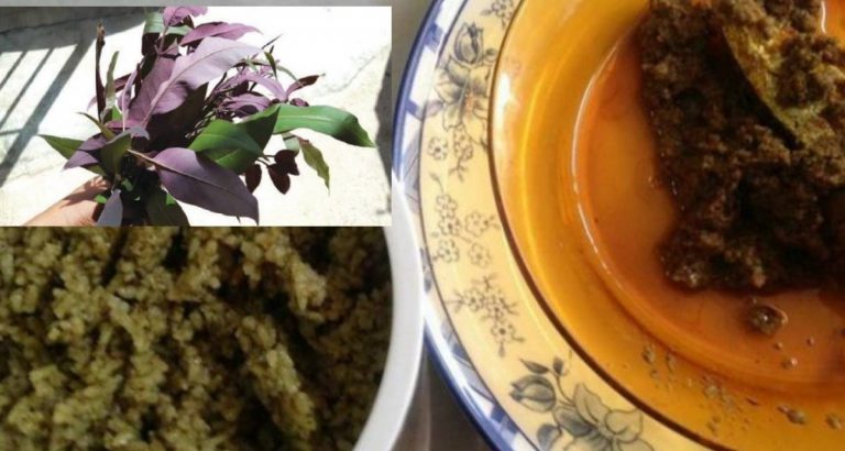 Resepi Nasi Lemuni Untuk Ibu Sedang Berpantang