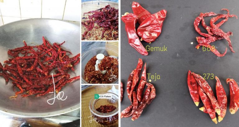 Empat Cili Kering Ikut Level Pedas Yang Surirumah Kena Tahu Pilih