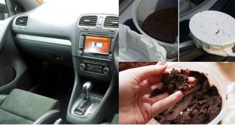 Isteri Tak Suka Kereta Berbau, Suami Sila Tiru Cara Ini Untuk Buat Kereta Kembali Wangi Bau Showroom