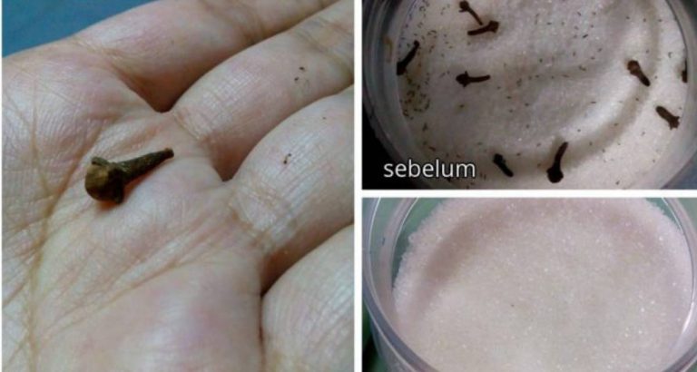 Suri Rumah Kena Tahu Tip Elak Semut Masuk Dalam Bekas Gula Minuman