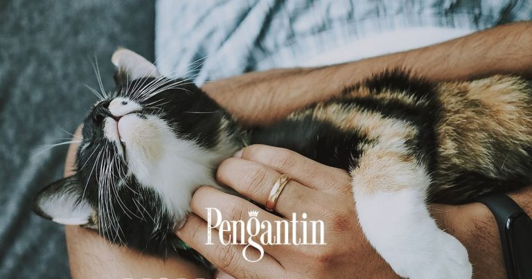Cari Lelaki Minat Kucing, Setia Adalah Salah Satu Sebabnya!