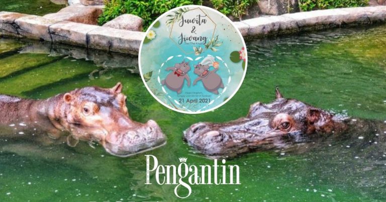 Pasangan Badak Air Jiwang & Juwita Selamat ‘Disatukan’, Meriah Betul Majlis Resepsi Mereka!