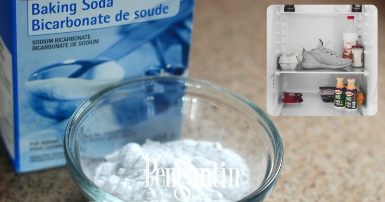 Jadi Isteri, Kena Kreatif. Soda Bikarbonat Ni Berkesan Hilangkan Bau Peti Ais!