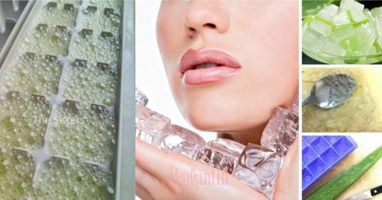 kiub Aloevera untuk naik seri