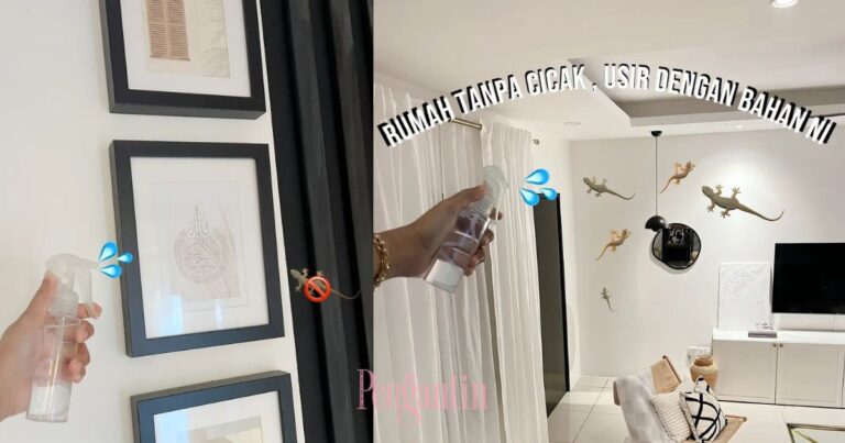 Rumah Banyak Cicak, Isteri Boleh Usir Dengan 4 Bahan Ini
